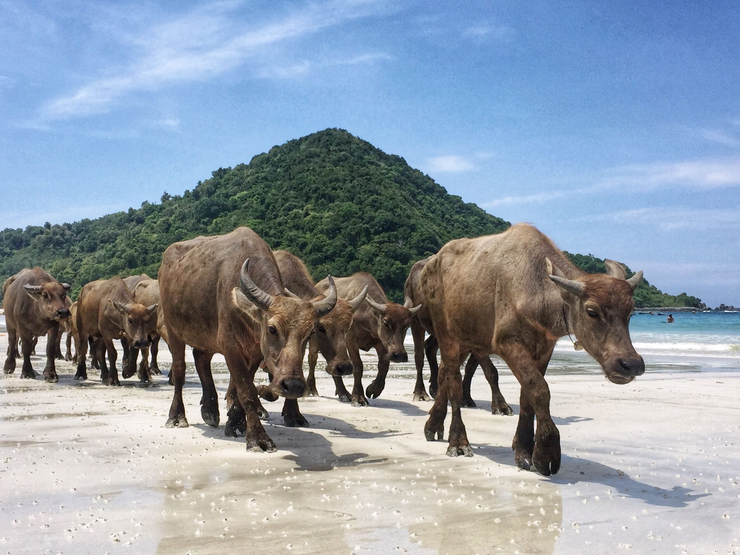 Que Hacer Kuta Lombok