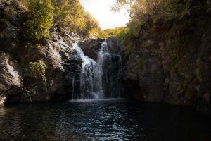 Levada-de-alecrim-Madeira